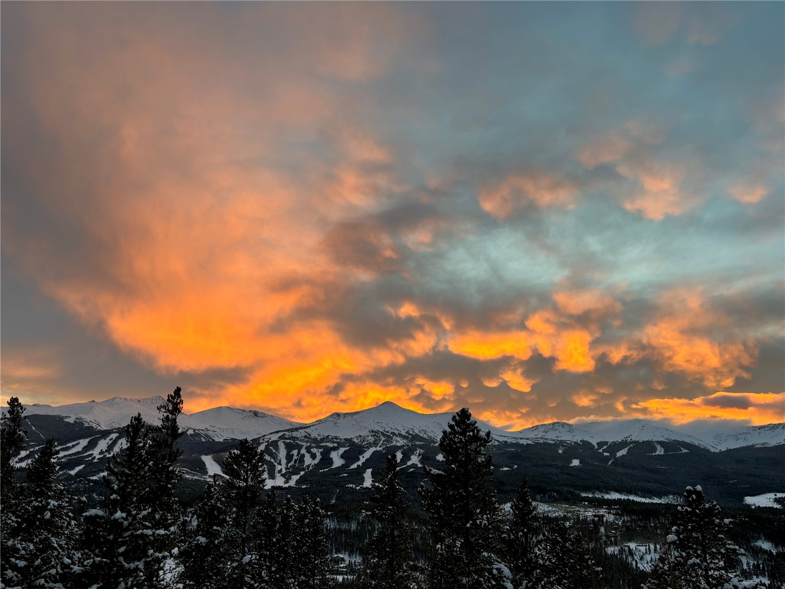 99 Bearing Tree Road Breckenridge, CO 80424 - Photo 43 of 44