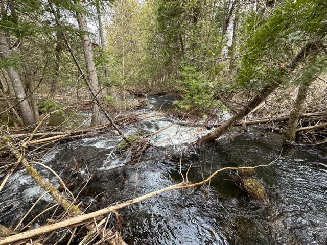 226 Foxcroft Road Houlton, ME 04730 - Photo 22 of 54 IMG_0986