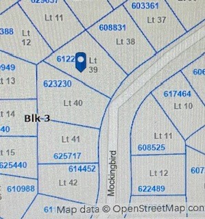 0 Mockingbird Normangee, TX 77871 - Photo 1 of 9 unknown