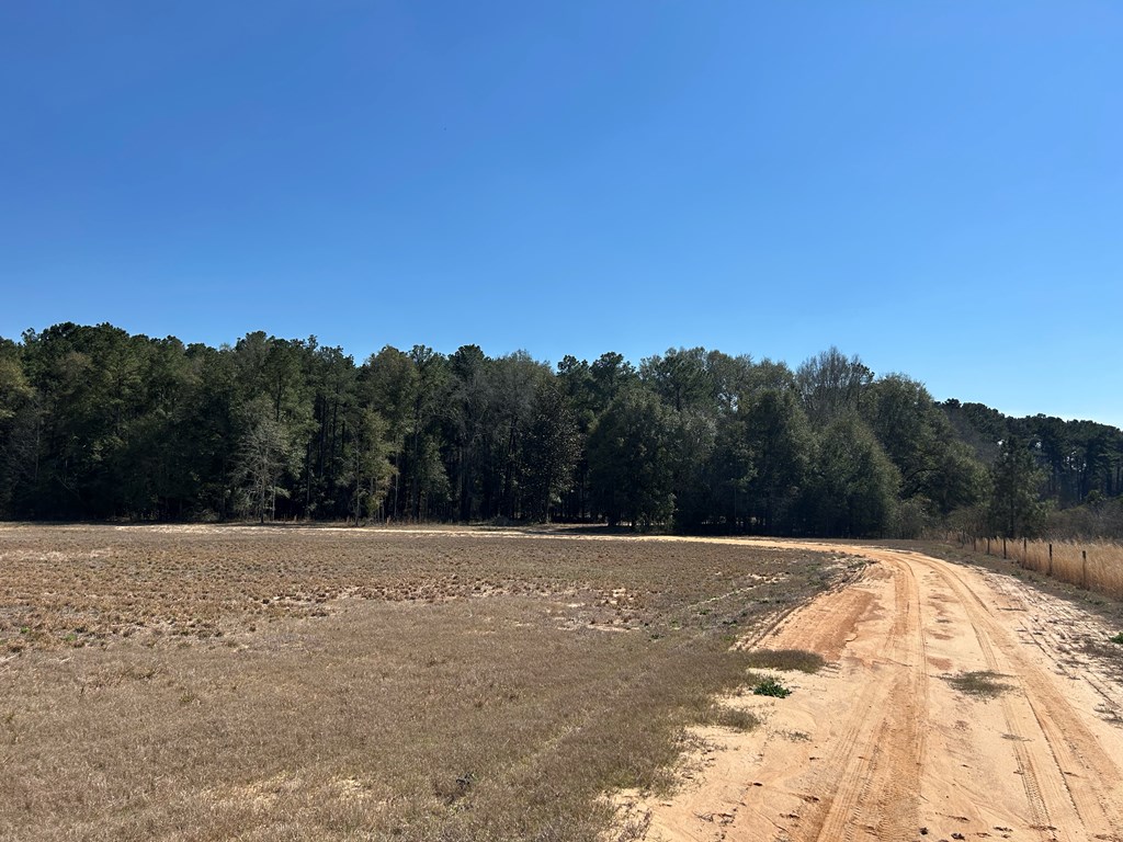15-ac Webb Road Dothan, AL 36301 - Photo 20 of 33