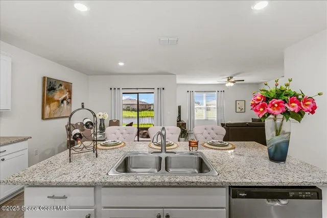 a kitchen with a granite countertop sink a potted plant and a counter top space