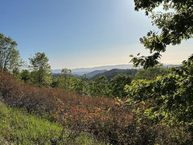 4022 Sheep Ranch Road Murphys, CA 95247 - Photo 74 of 81