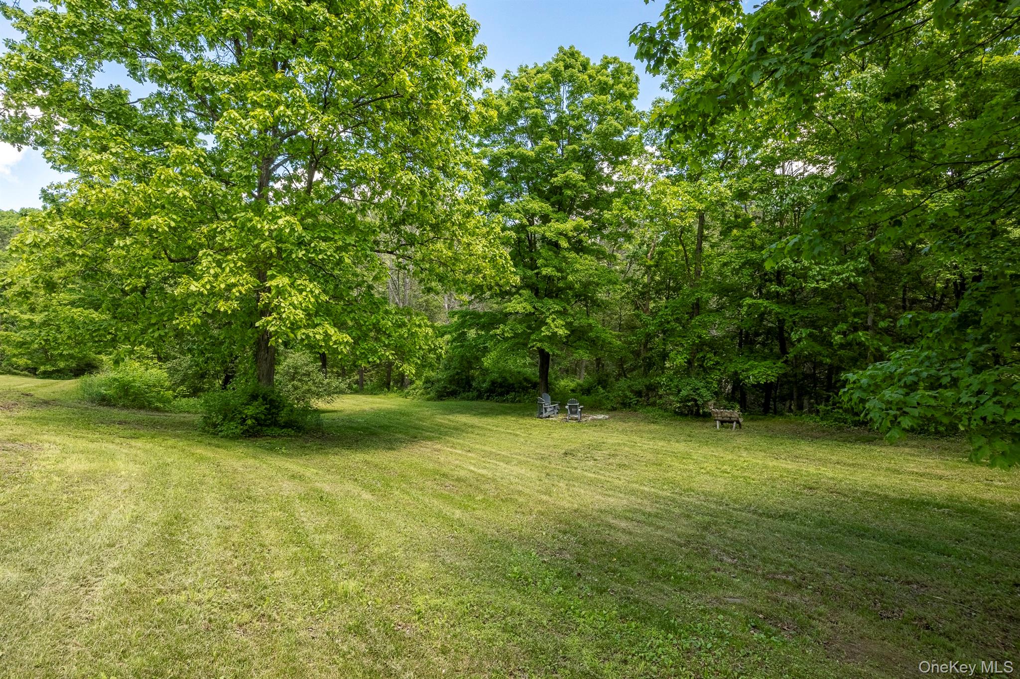 82 Near Road Red Hook, NY 12571 - Photo 23 of 28 View of green lawn