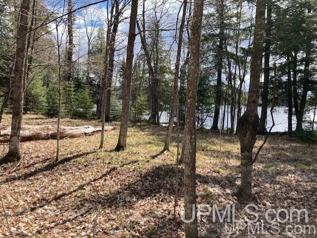 Lot 1 Wizard Road Watersmeet, MI 49969 - Photo 8 of 26 Gallery Image 8