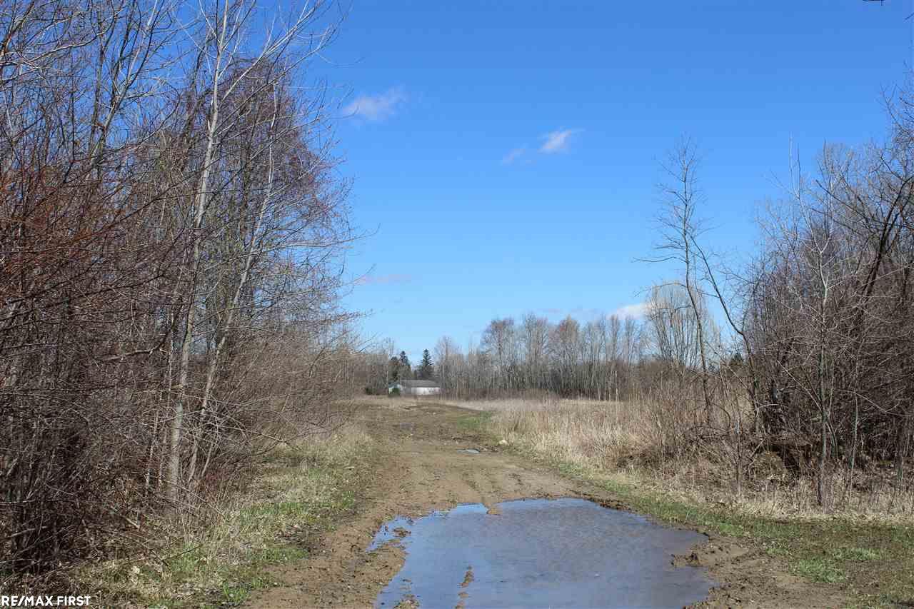 0 Connell Road Yale, MI 48097 - Photo 10 of 22