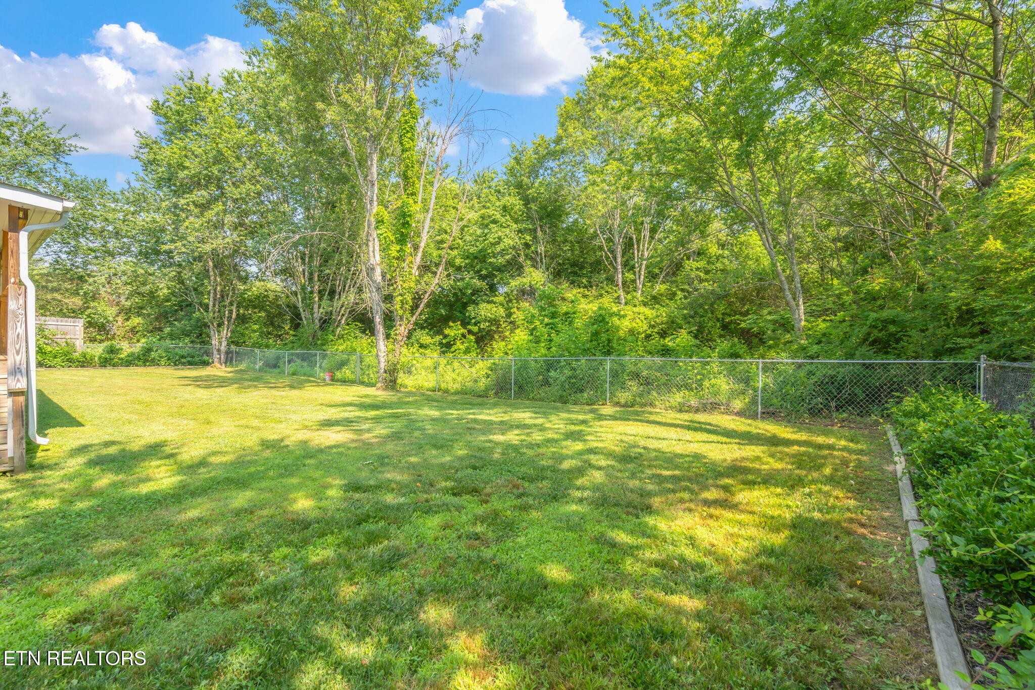 20156 Steekee Road Loudon, TN 37774 - Photo 28 of 46 a view of a yard with a large trees