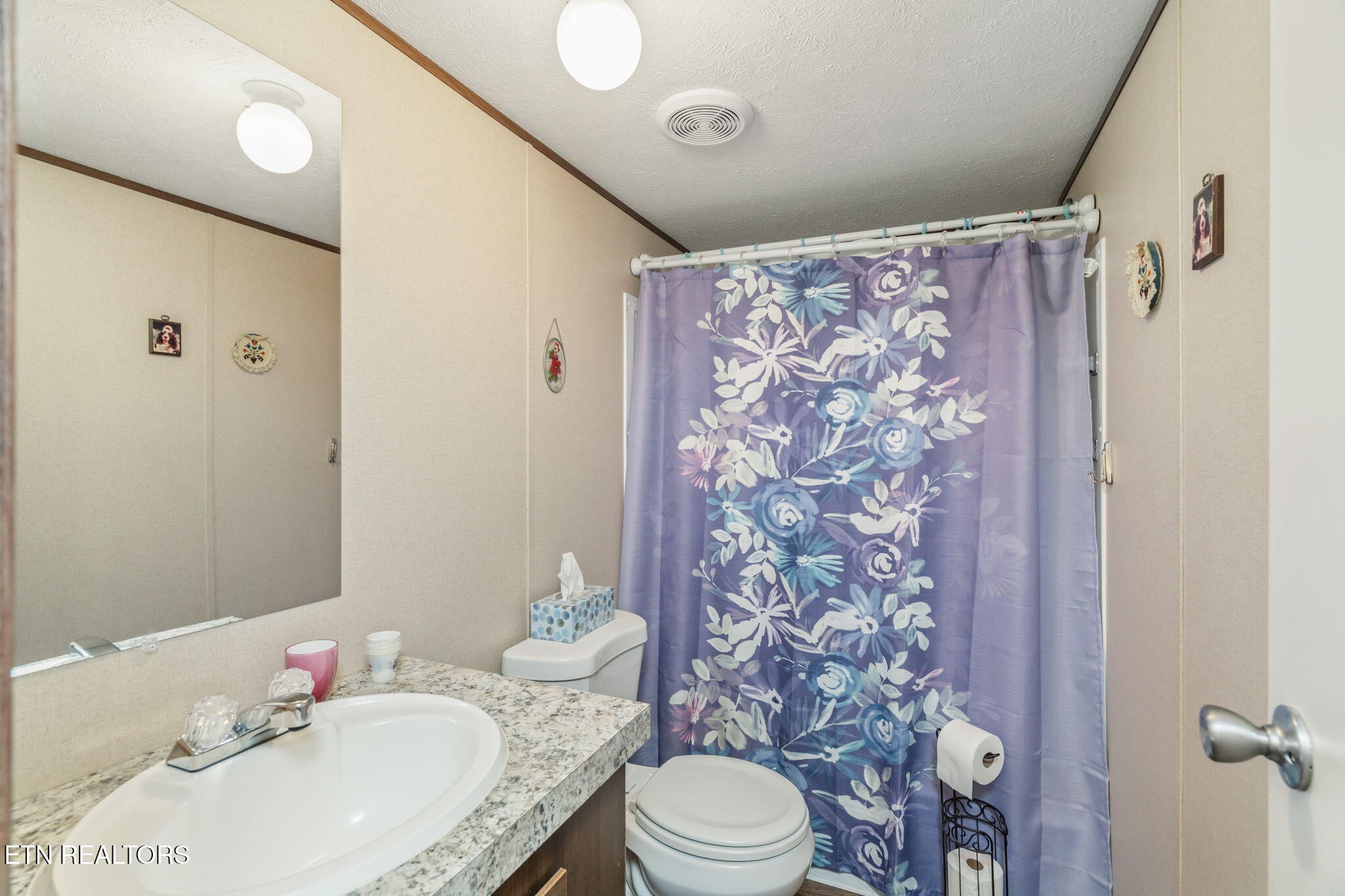 20156 Steekee Road Loudon, TN 37774 - Photo 9 of 46 a bathroom with a sink toilet vanity and shower