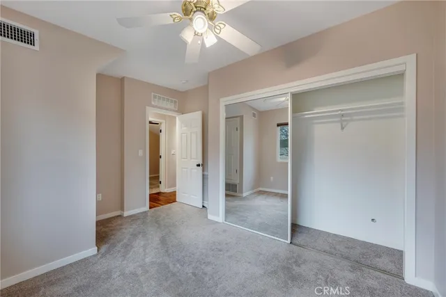 a view of a park with large trees