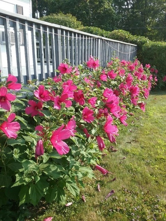59 Mill Village Road, Unit 59 Deerfield, MA 01373 - Photo 15 of 18
