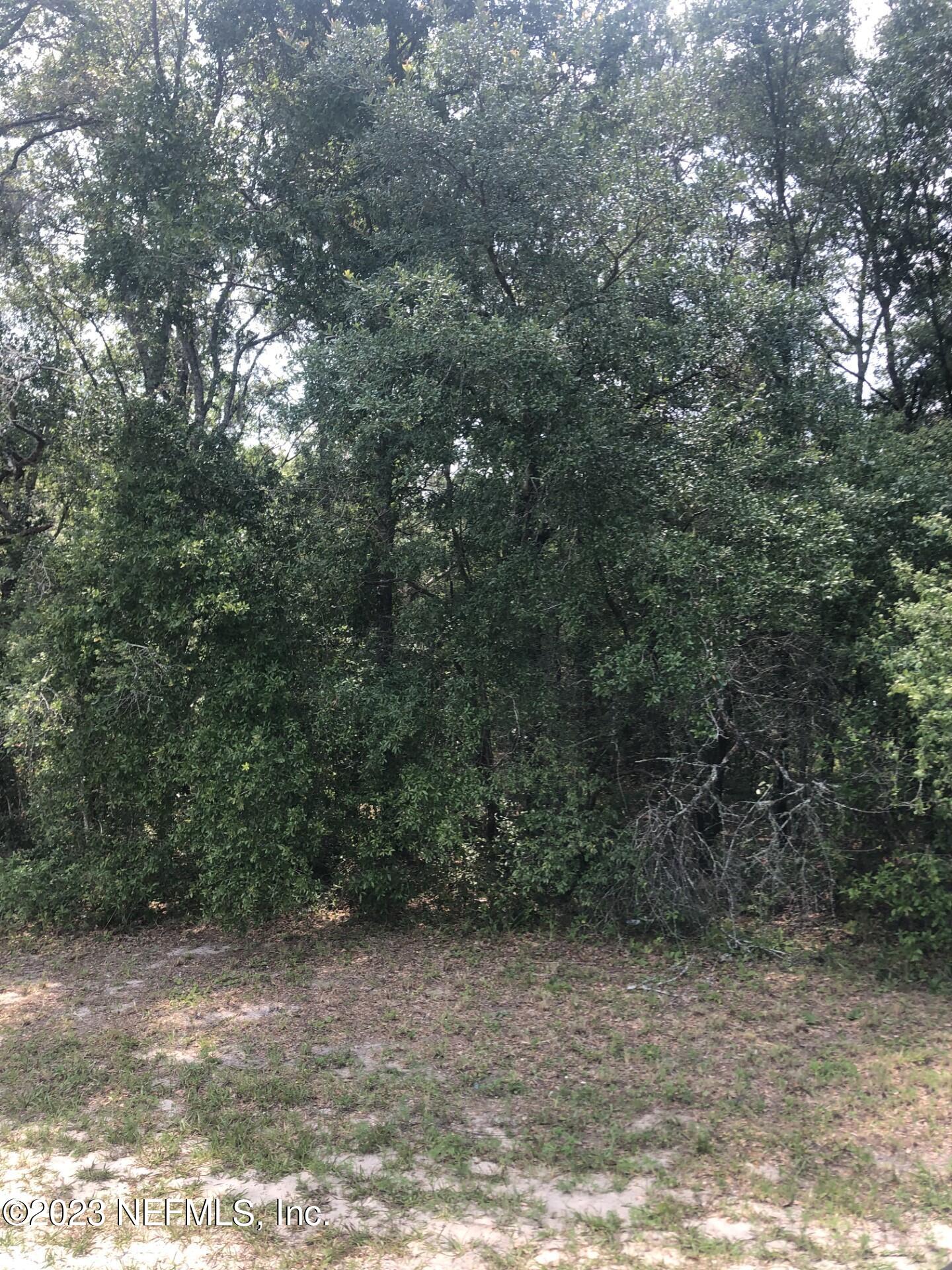 5989 Co Road Keystone Heights, FL 32656 - Photo 4 of 7 road side