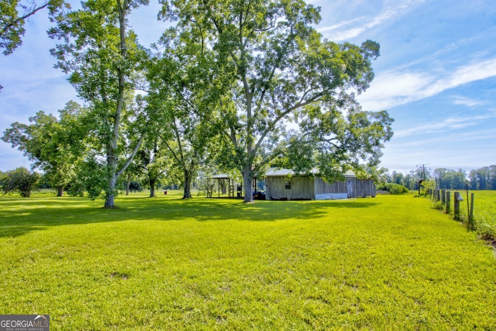 1034 Cecil Tyre Road Bristol, GA 31518 - Photo 37 of 63