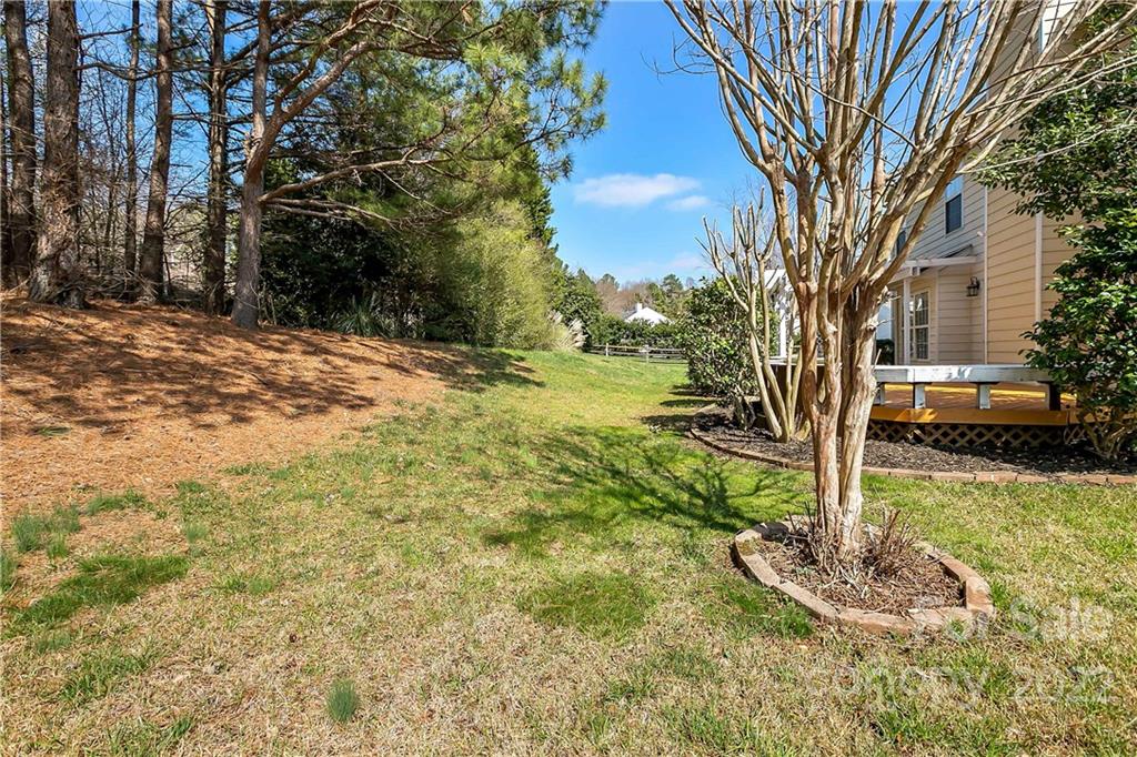 7601 Silverton Way Huntersville, NC 28078 - Photo 26 of 26 a view of a yard with plants