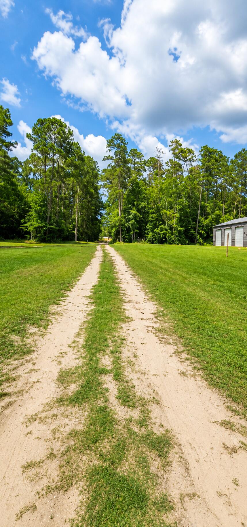 1083 Copperhead Road Manning, SC 29102 - Photo 36 of 57 driveway