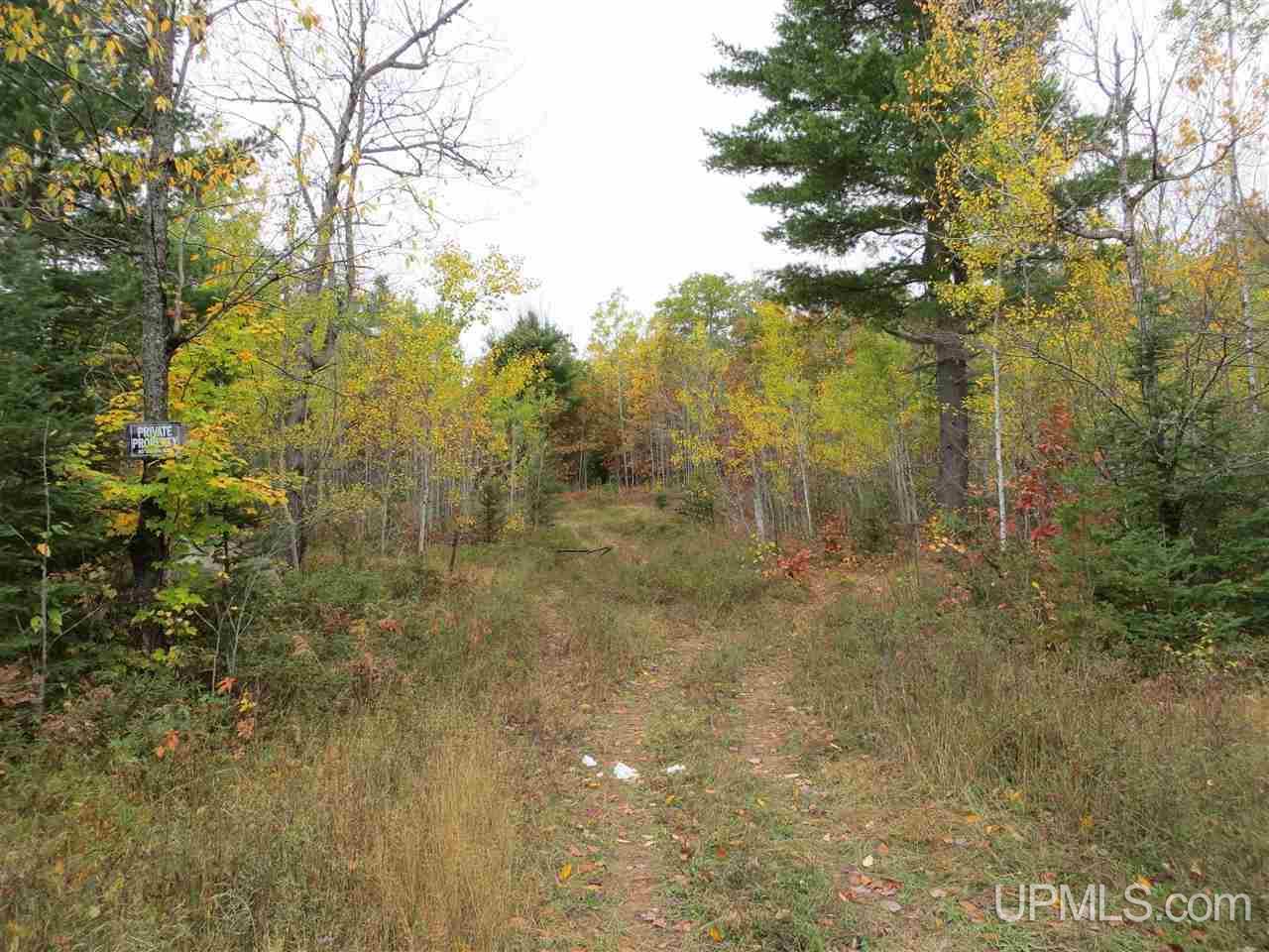 Tbd Co Rd Ff Republic, MI 49879 - Photo 23 of 29