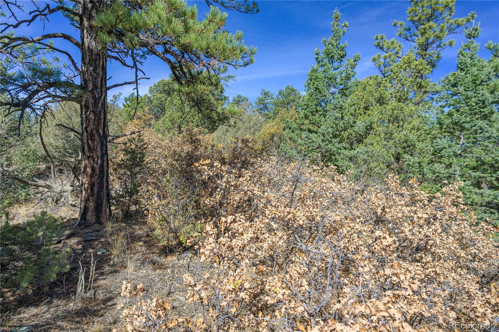 14341 Northridge Road Weston, CO 81091 - Photo 11 of 49