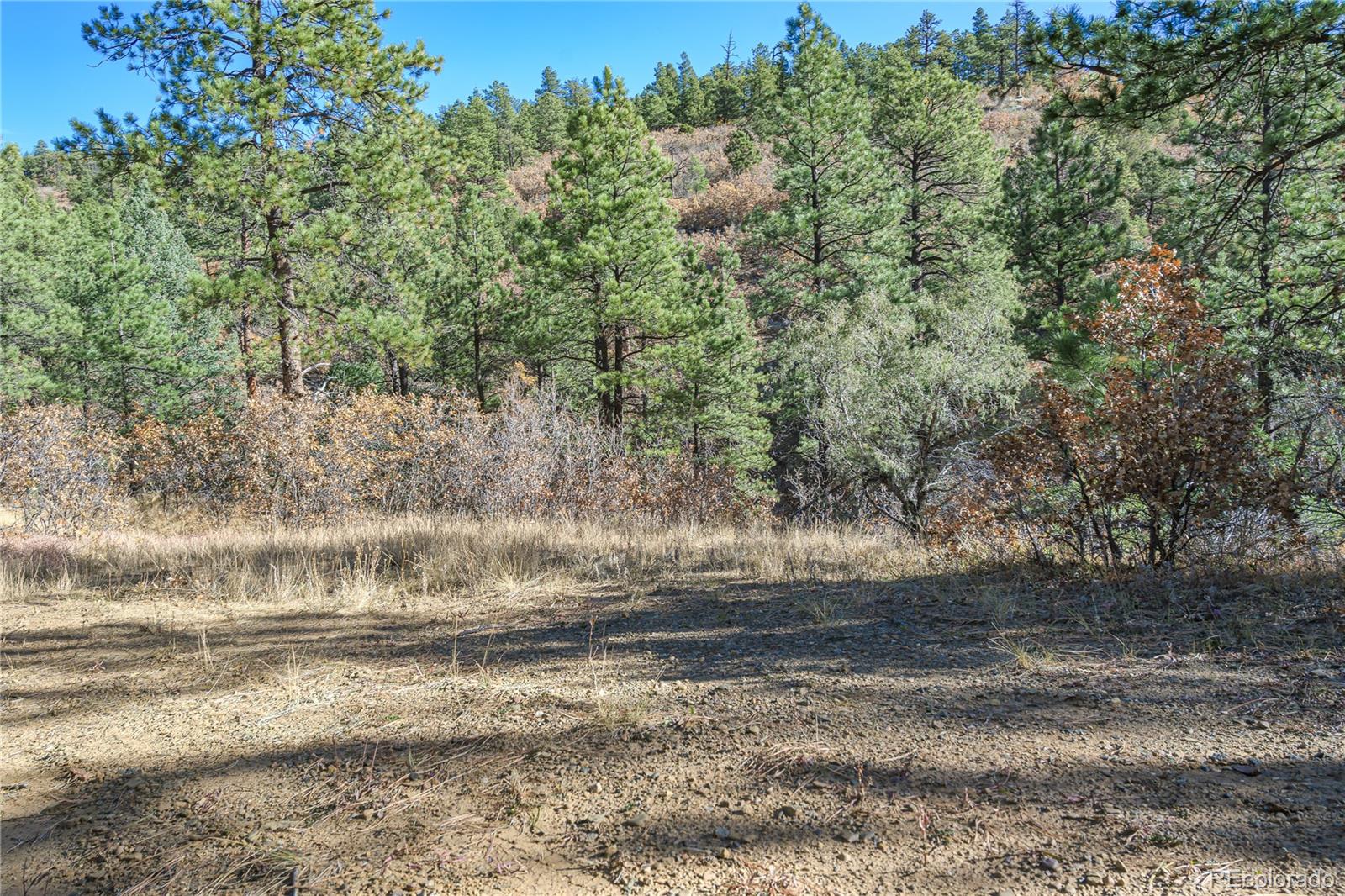 14341 Northridge Road Weston, CO 81091 - Photo 12 of 49 a view of a yard with a tree