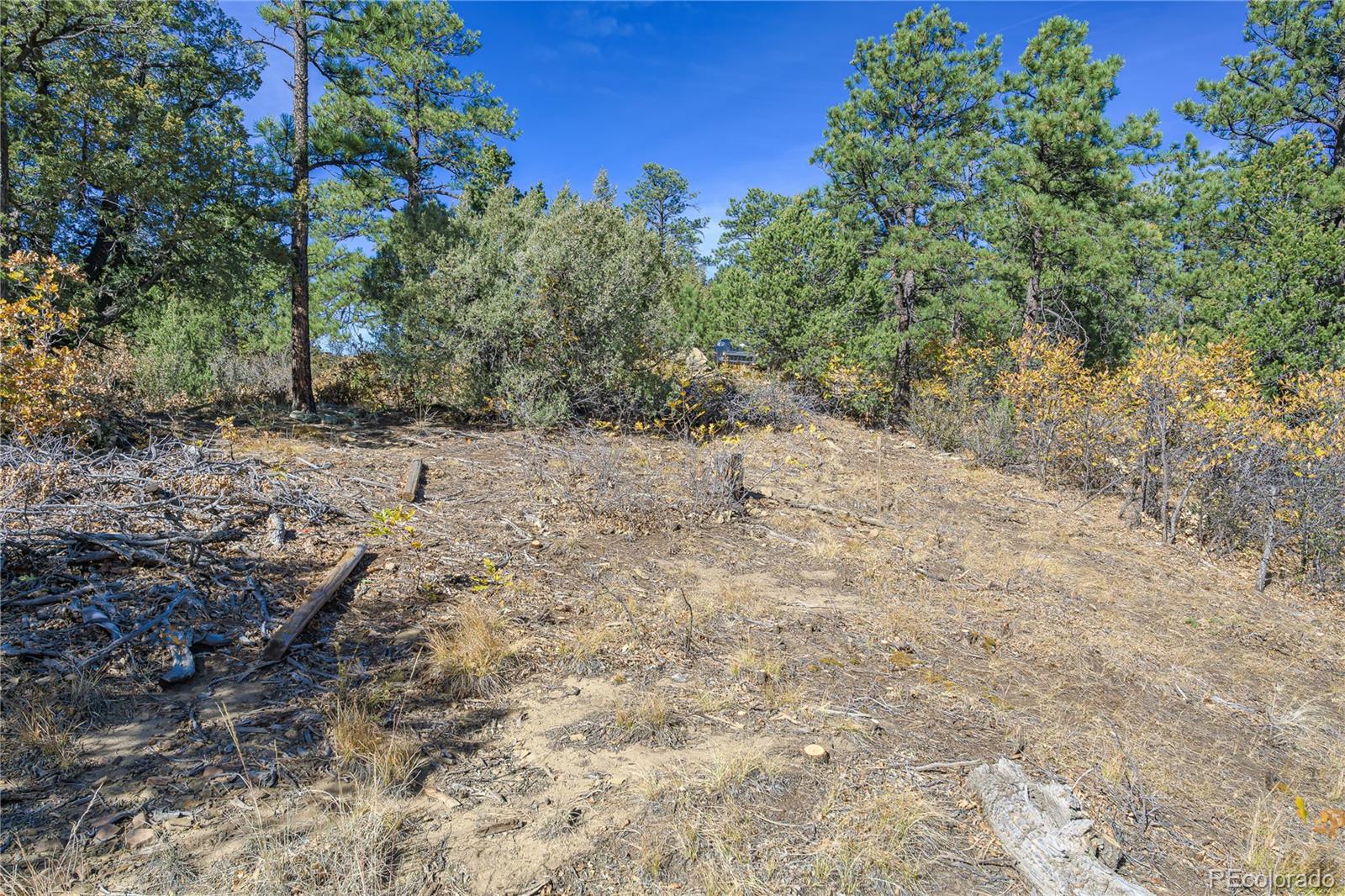 14341 Northridge Road Weston, CO 81091 - Photo 14 of 49 a view of a yard with plants and trees