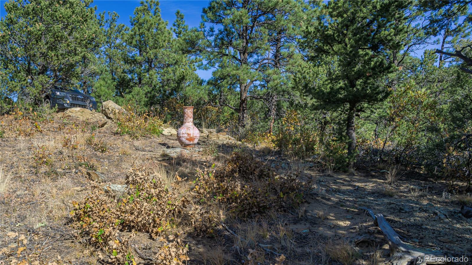 14341 Northridge Road Weston, CO 81091 - Photo 15 of 49 a view of a forest with a tree