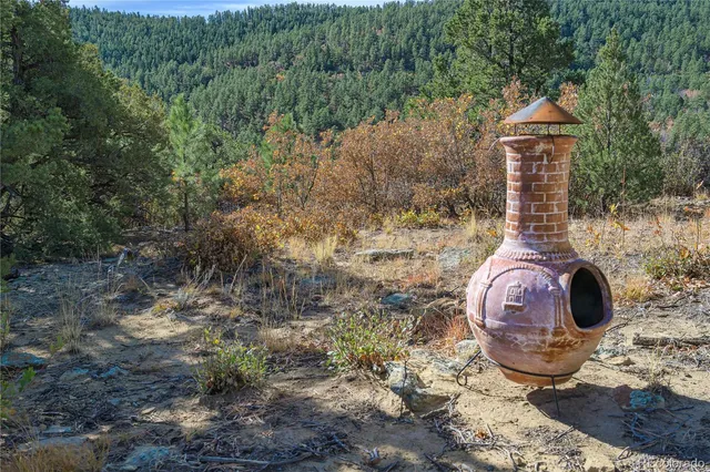 a view of a yard with plants and tree