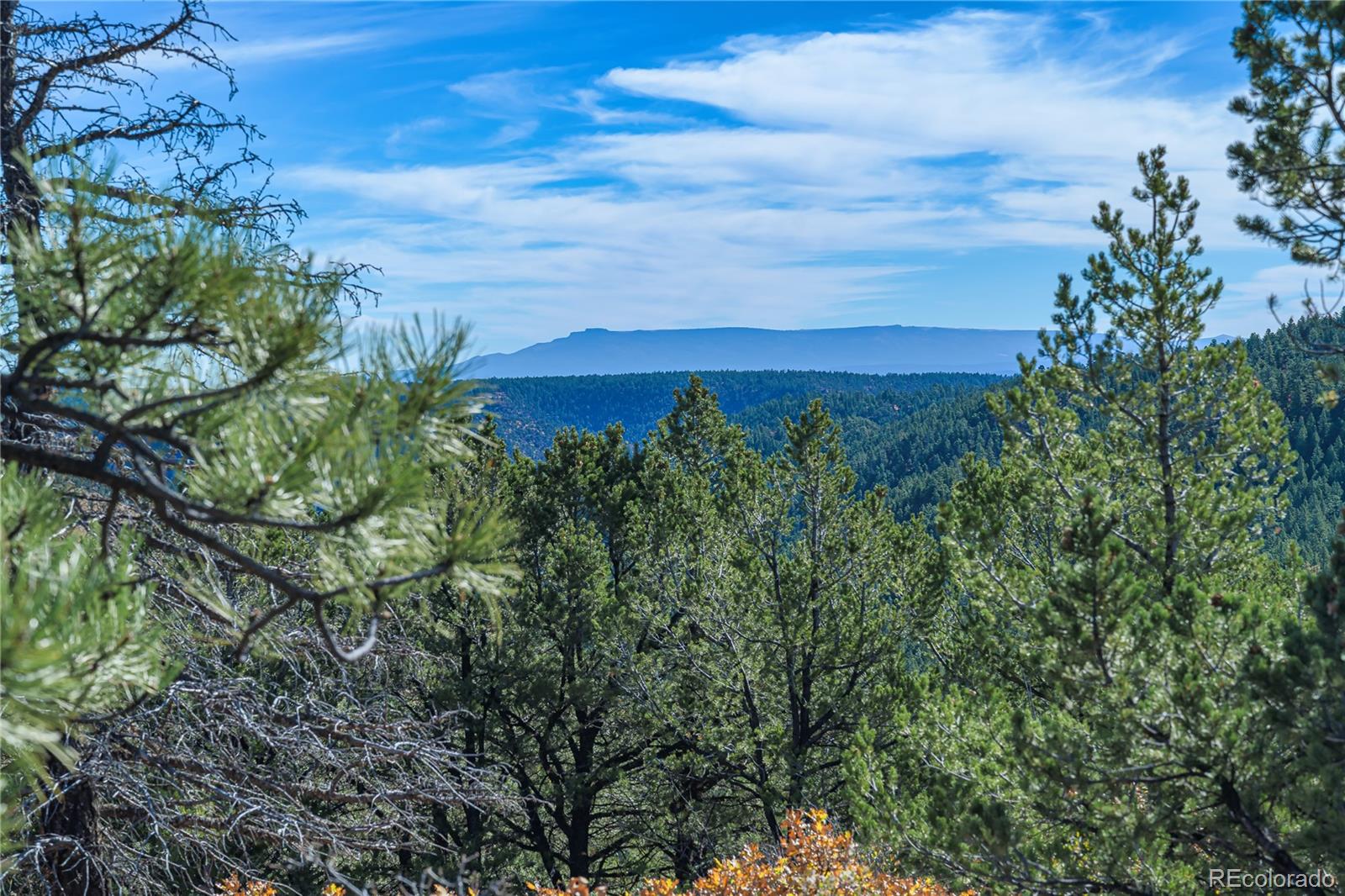 14341 Northridge Road Weston, CO 81091 - Photo 20 of 49 a view of a yard with an outdoor space and deck