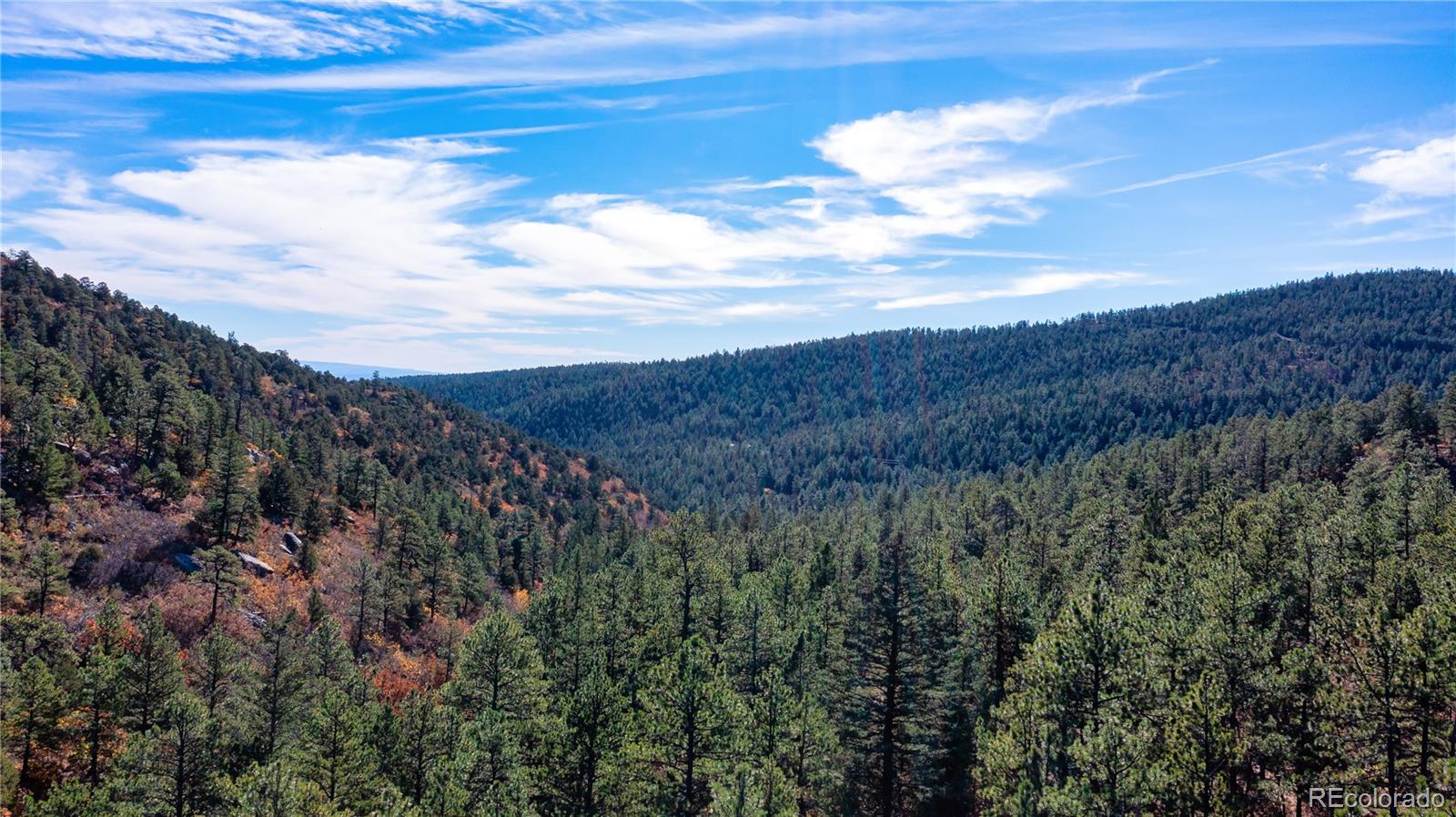 14341 Northridge Road Weston, CO 81091 - Photo 22 of 49 a view of a bunch of trees