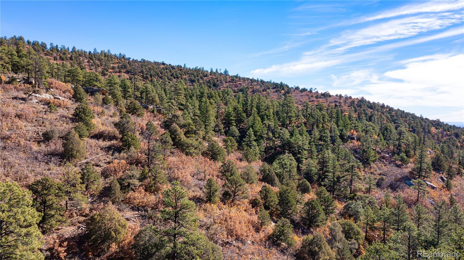 14341 Northridge Road Weston, CO 81091 - Photo 23 of 49 a view of a city with lush green forest