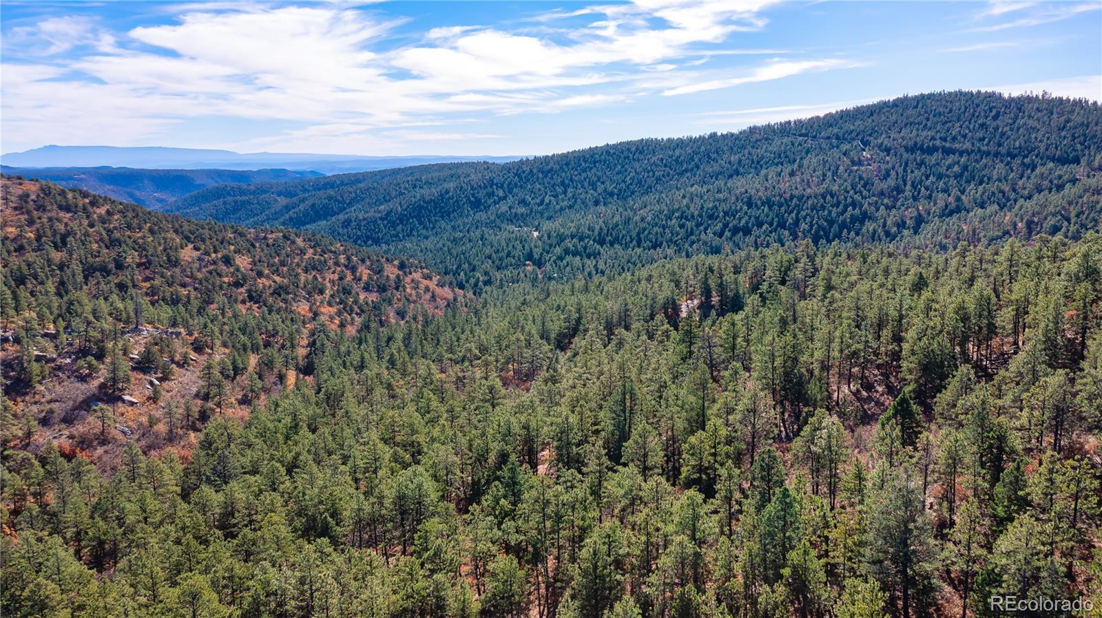 14341 Northridge Road Weston, CO 81091 - Photo 24 of 49 a view of a lush green field