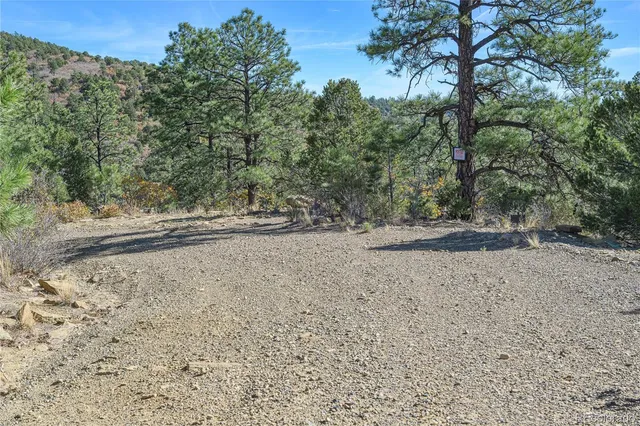 a view of a dirt road with trees in the background