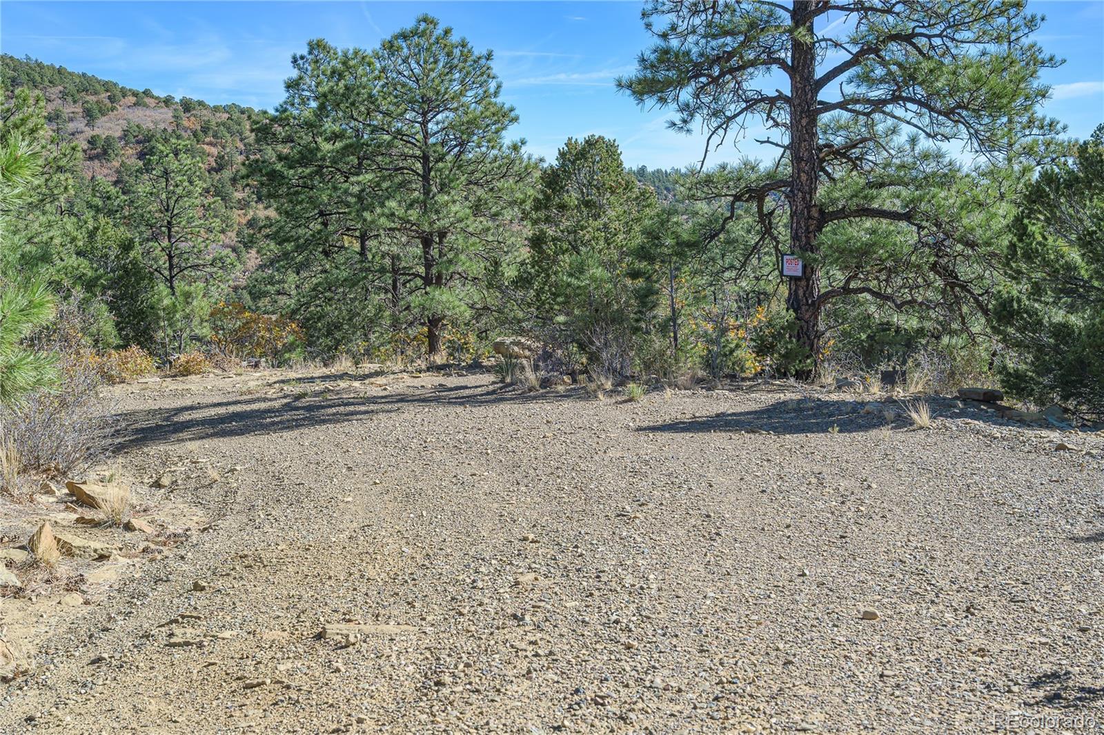 14341 Northridge Road Weston, CO 81091 - Photo 33 of 49 a view of dirt yard with a large tree