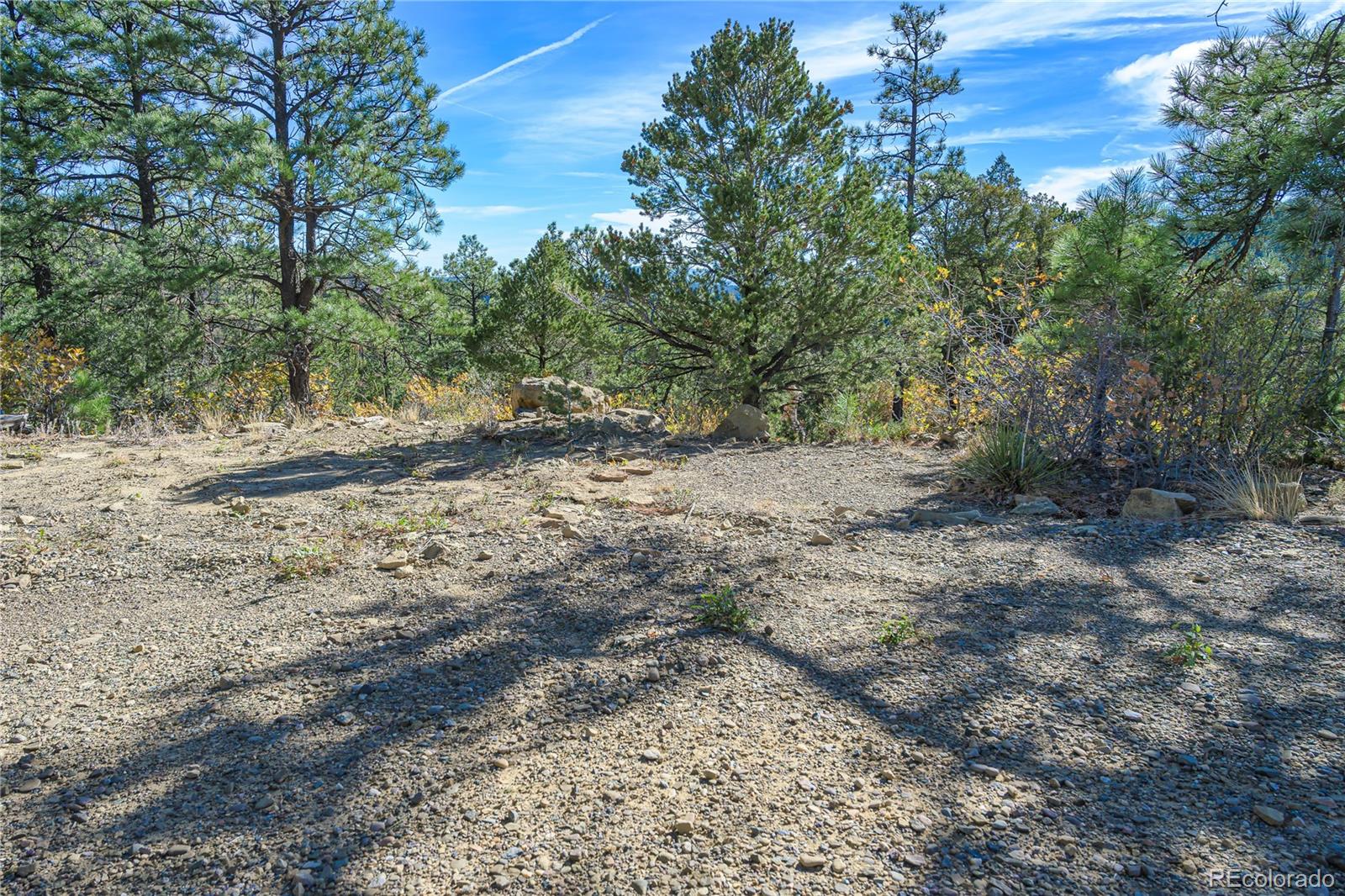 14341 Northridge Road Weston, CO 81091 - Photo 34 of 49 a view of a dirt road with trees in the background