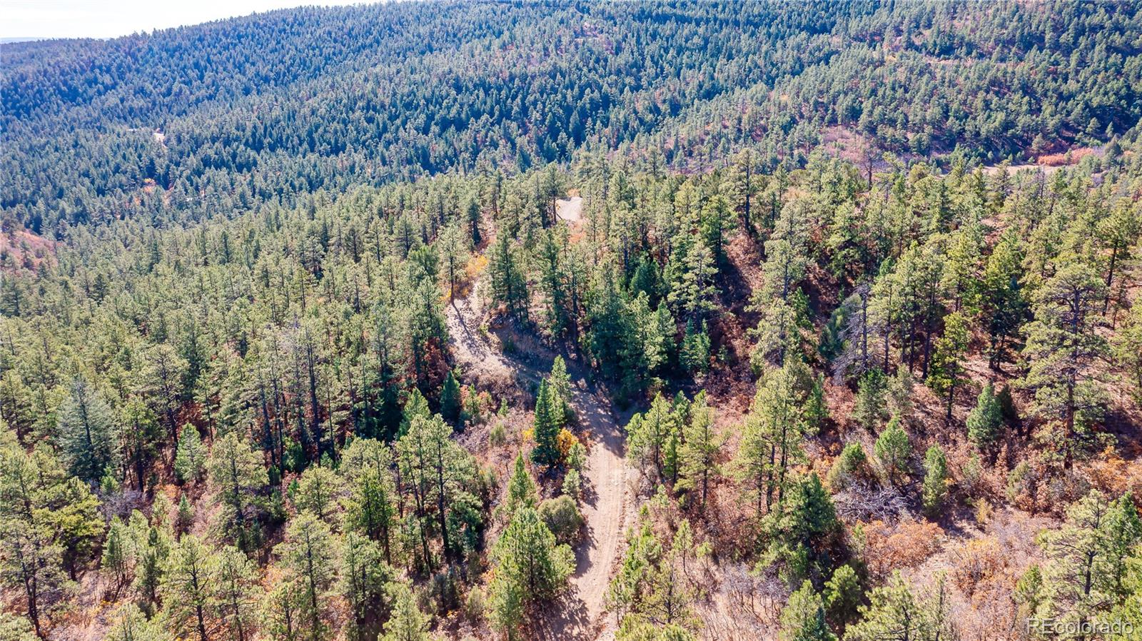 14341 Northridge Road Weston, CO 81091 - Photo 40 of 49