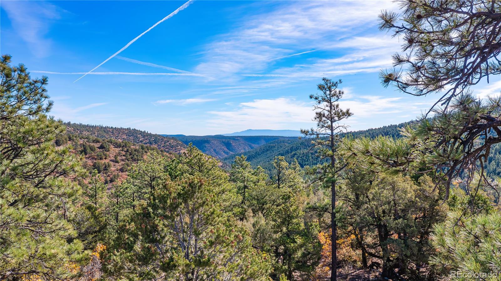 14341 Northridge Road Weston, CO 81091 - Photo 4 of 49 a view of a houses with a yard