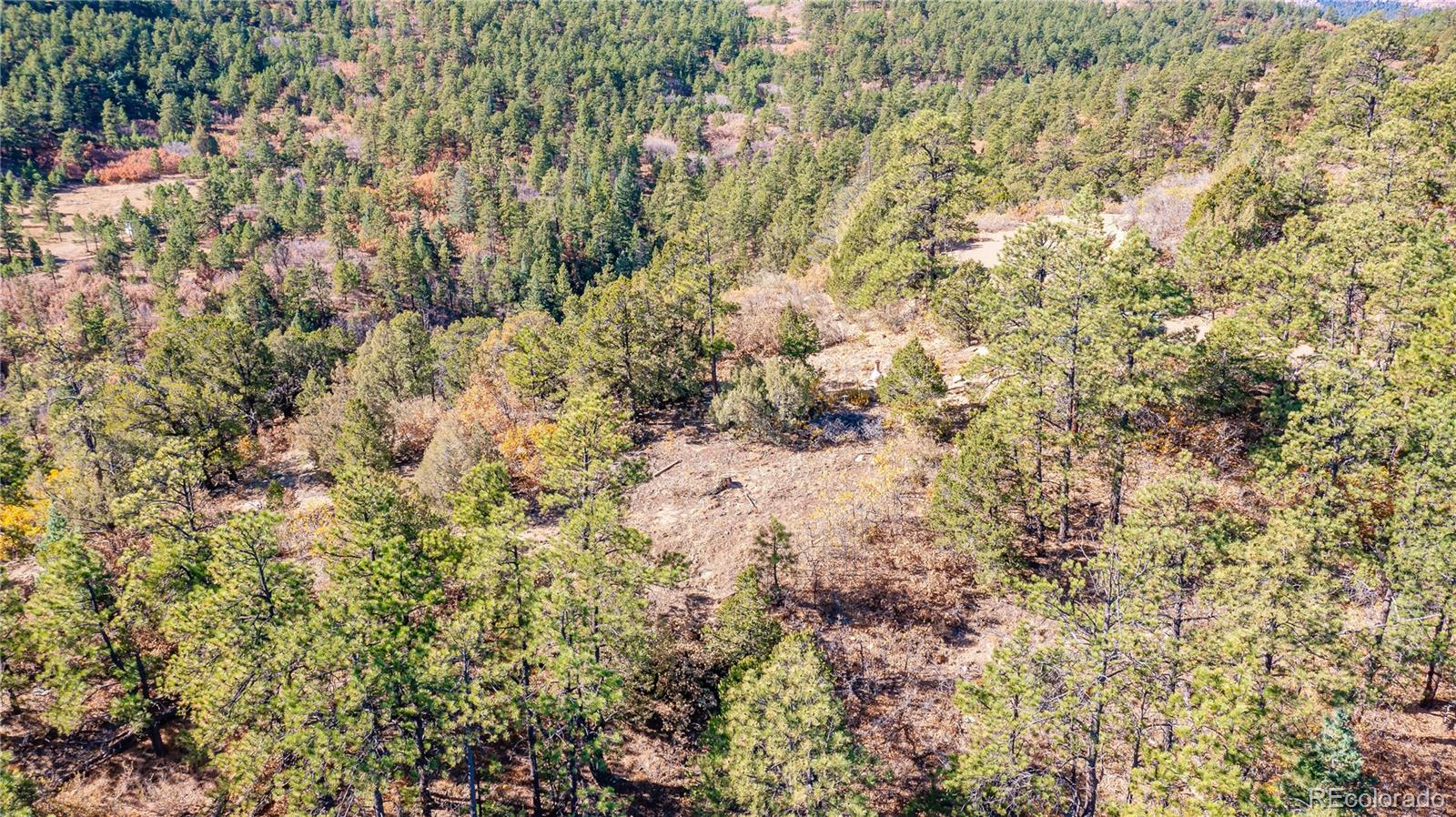 14341 Northridge Road Weston, CO 81091 - Photo 42 of 49 a view of a yard with a tree