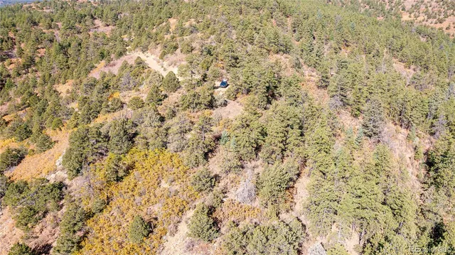 a view of a yard with plants and trees