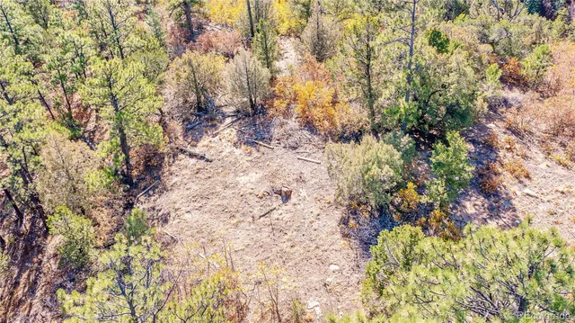 a view of a mountain in the distance in a field