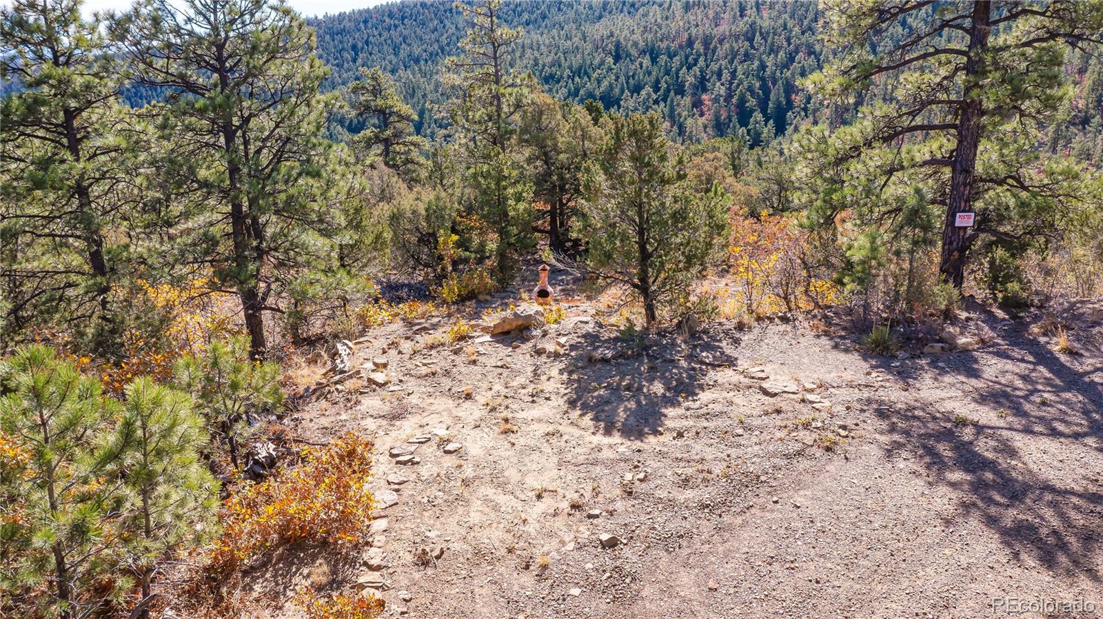 14341 Northridge Road Weston, CO 81091 - Photo 47 of 49 a view of a dry yard with trees
