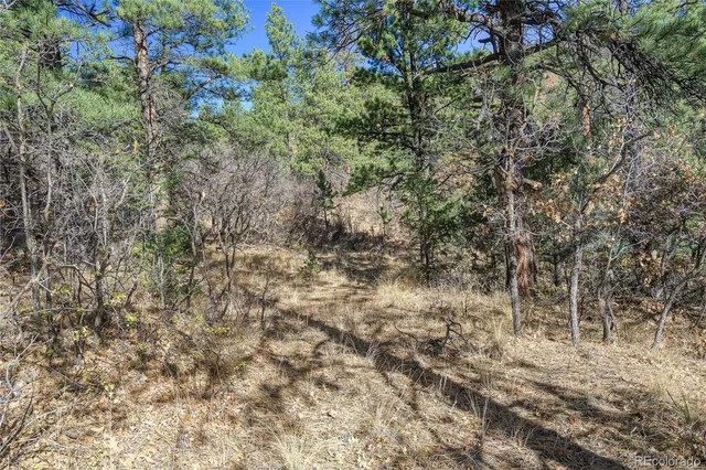 a view of a yard with a tree