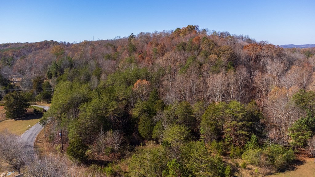 463 Co Road Englewood, TN 37329 - Photo 4 of 28