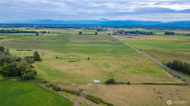 a view of a field with an ocean