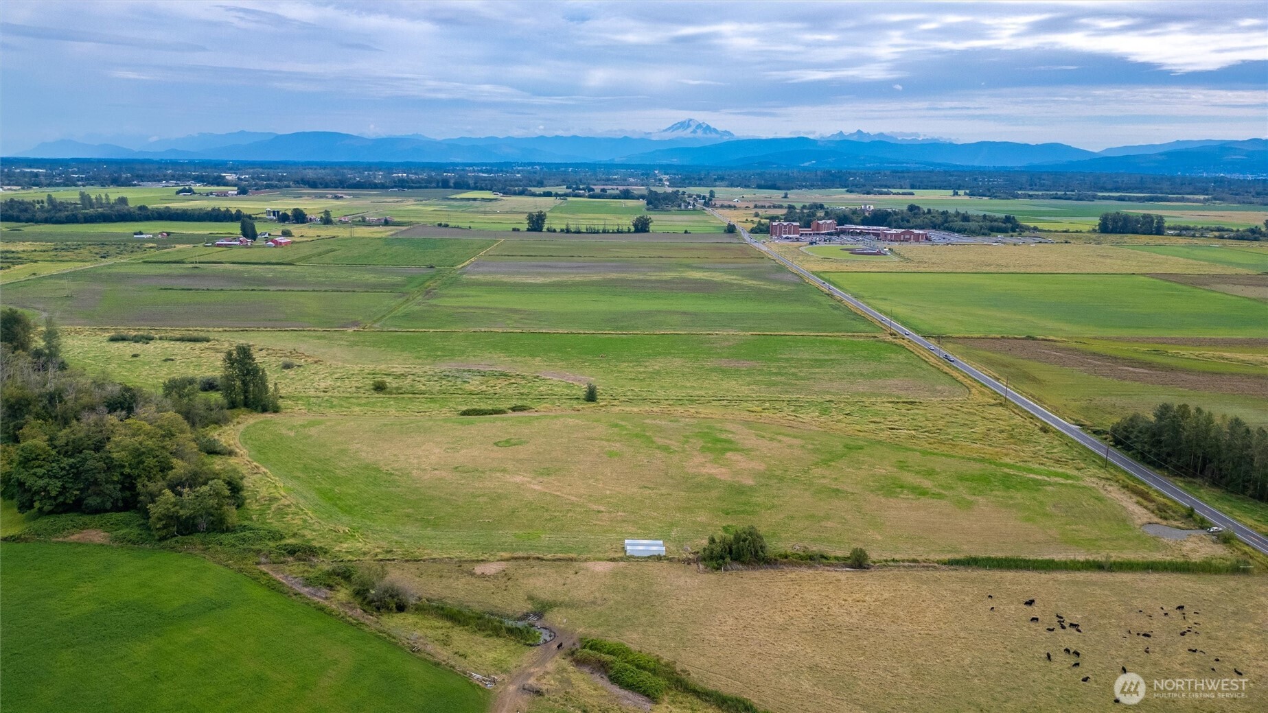 a view of a field with an ocean