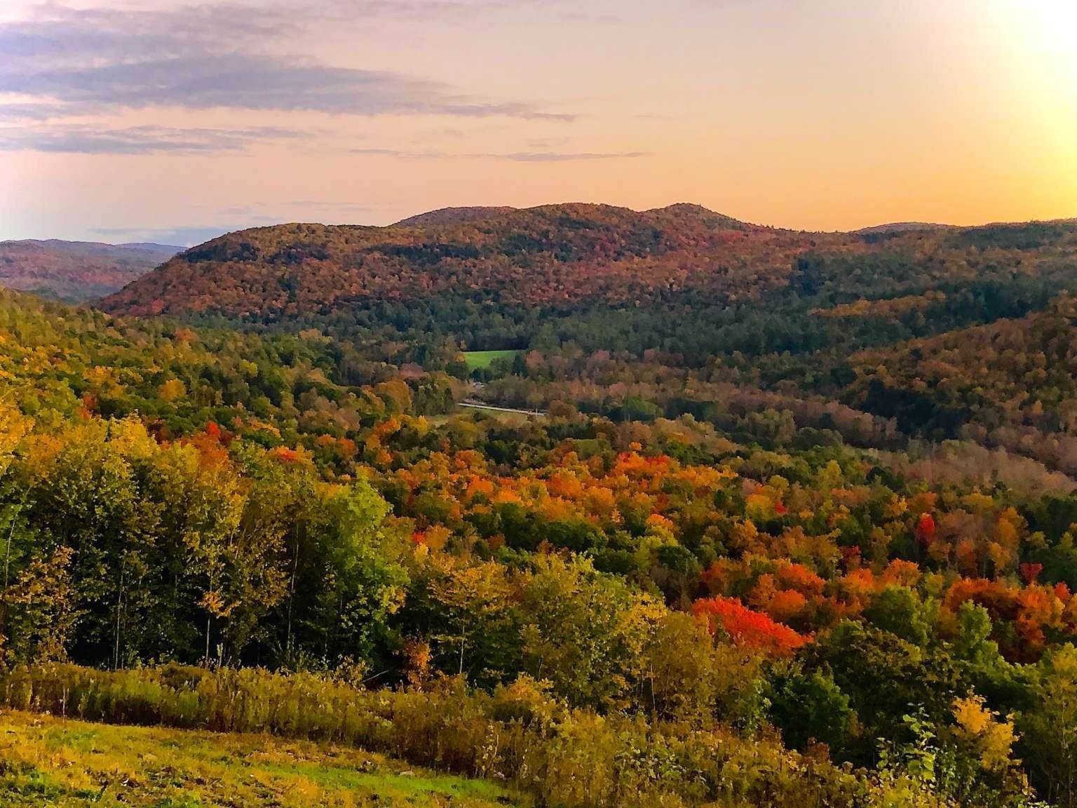996 Lincoln Hill Road Shrewsbury, VT 05738 - Photo 29 of 29