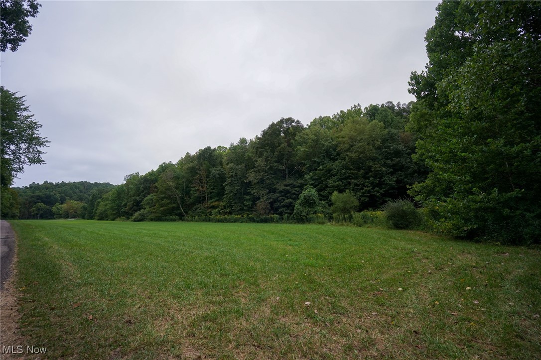 34799 Paw Road Lower Salem, OH 45745 - Photo 30 of 50 View of wooded area