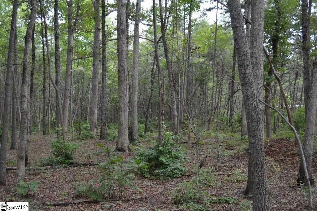 Fairfield Road Chesnee, SC 29323 - Photo 2 of 15