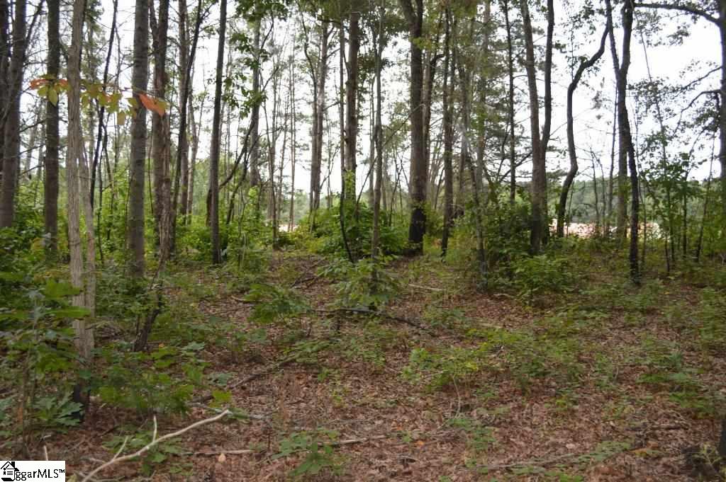 Fairfield Road Chesnee, SC 29323 - Photo 3 of 15