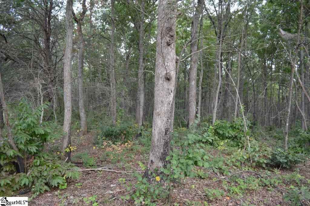Fairfield Road Chesnee, SC 29323 - Photo 4 of 15