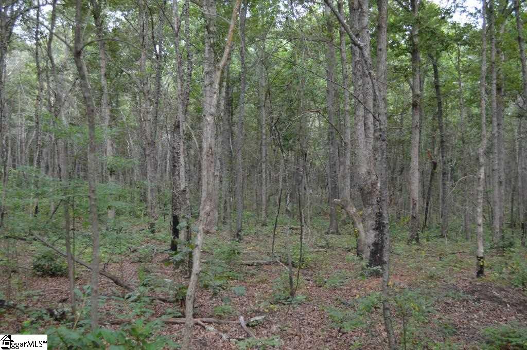 Fairfield Road Chesnee, SC 29323 - Photo 8 of 15