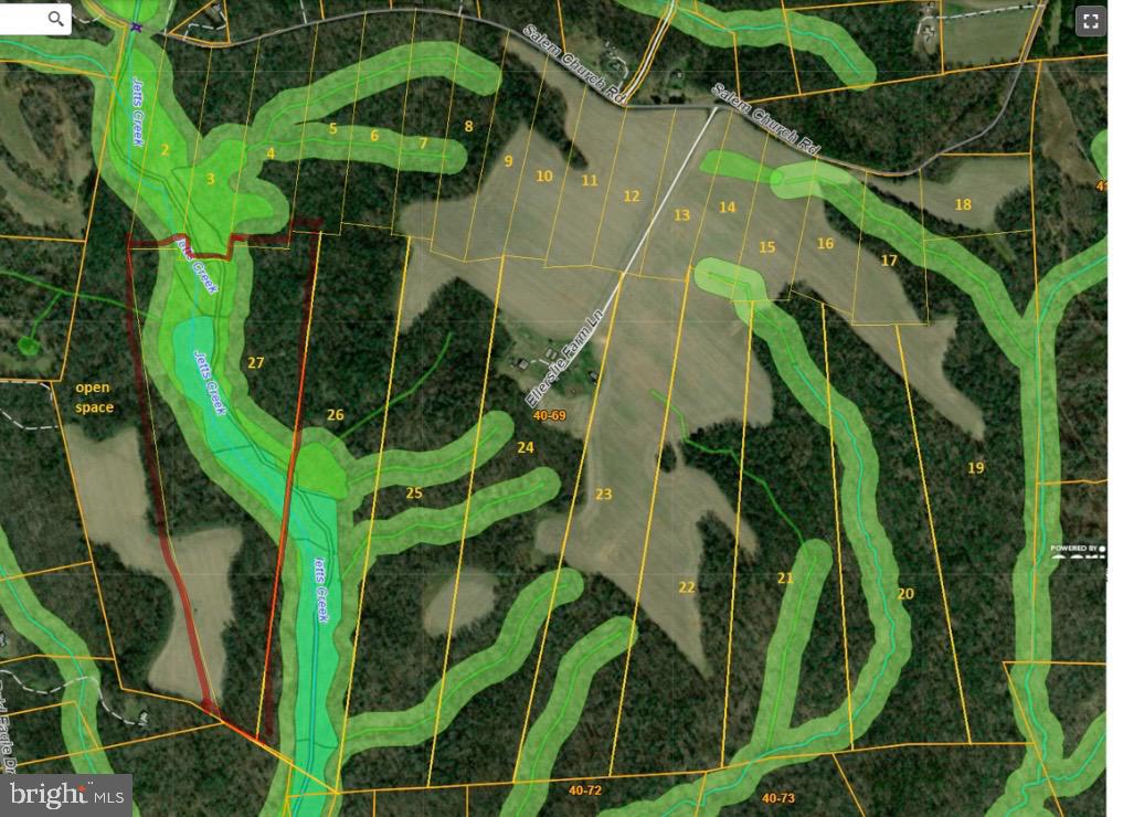 Lot 27 Salem Church Road King George, VA 22485 - Photo 2 of 2 a view of a plant in a garden