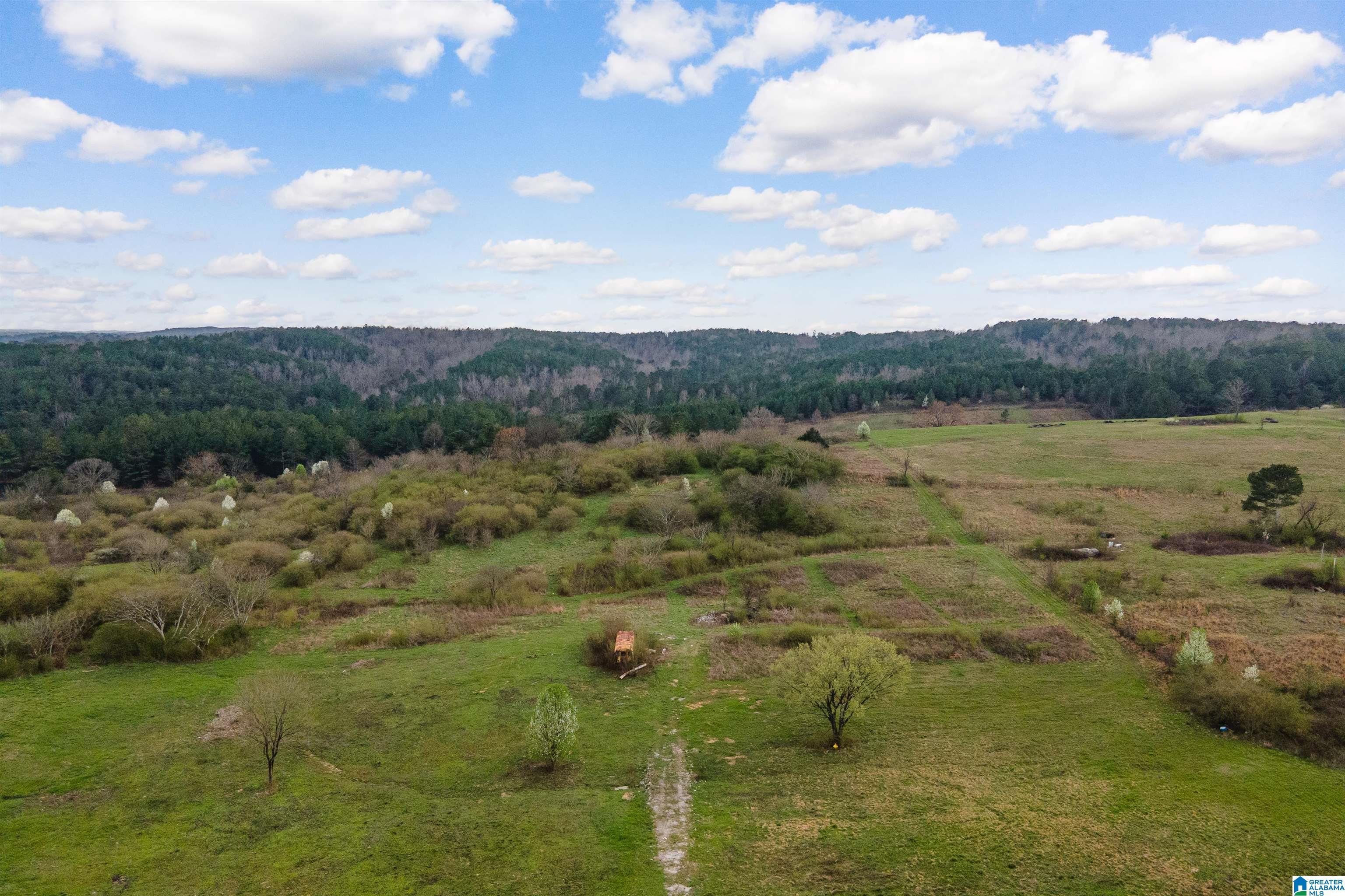 700 Sardis Road Gardendale, AL 35071 - Photo 2 of 16