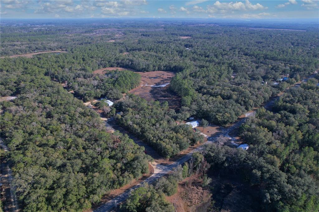 0 Hemlock Street Interlachen, FL 32148 - Photo 12 of 20