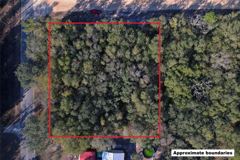 0 Hemlock Street Interlachen, FL 32148 - Photo 13 of 20